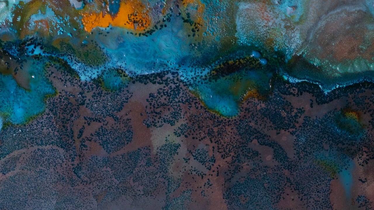 Copper Oxidizing Time Lapse